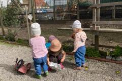 Im Garten
